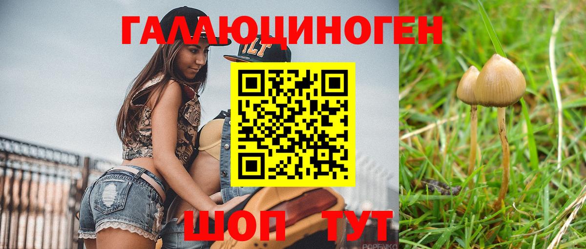 Галлюциногенные грибы мухоморы Бор
